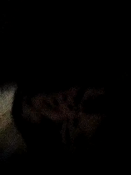 ruhi2003 online show from December 2024 11:33:01 AM