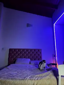 Snapshot of soygalaof chatting on January 2026 06:40:01 AM soygalaof online show from January 2026 06:40:01 AM