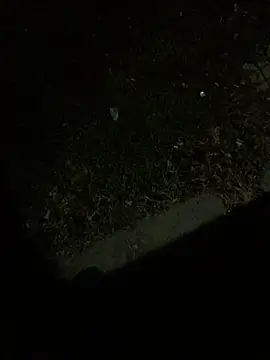 Nicusorescu26 online show from October 2025 03:18:01 AM