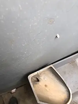 Nicusorescu26 online show from April 2026 09:45:01 AM