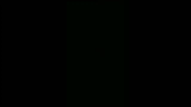 alansteer online show from December 2024 10:41:01 PM