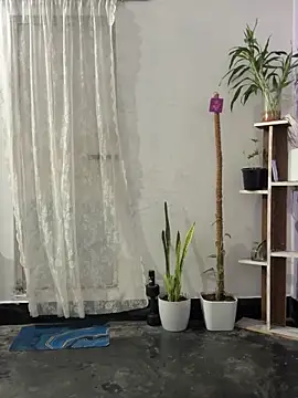 mikemacluffy online show from September 2025 04:00:01 PM