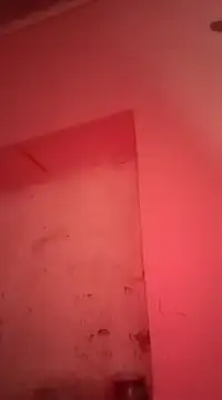 sosarax online show from January 2025 11:22:02 AM