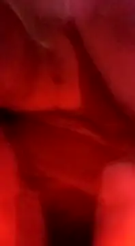 sosarax online show from February 2025 03:20:01 PM