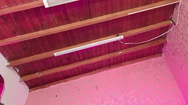 Sofia martiin online show from November 2025 03:05:01 AM