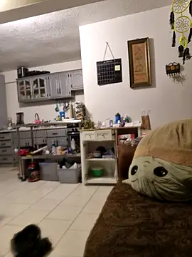 Snapshot of abdierkader chatting on November 2025 09:03:02 PM abdierkader online show from November 2025 09:03:02 PM