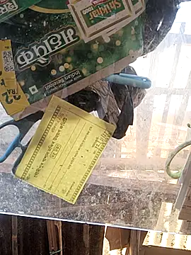 Skinny Bigass 23 online show from November 2025 07:25:01 AM