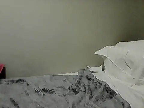 housewife shantie online show from November 2025 01:24:03 PM