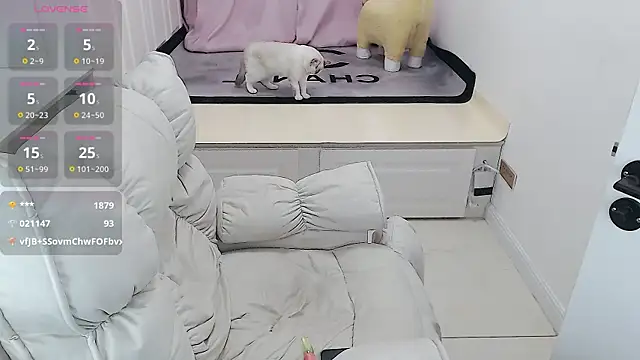 Tang-1314 online show from February 2025 05:30:02 AM