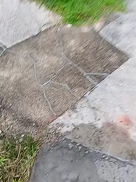 homenbuscalacto online show from January 2026 08:51:02 AM