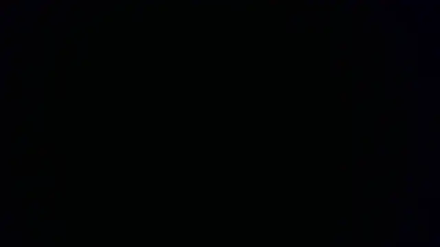 W N G S online show from October 2025 08:20:02 PM