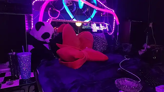 Snapshot of anonymouszN chatting on February 2025 10:31:01 PM anonymouszN online show from February 2025 10:31:01 PM