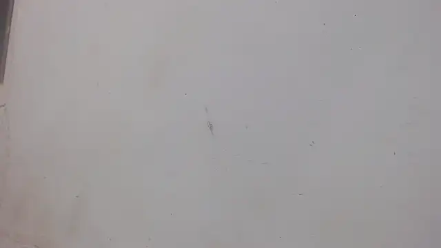 danilo302209 online show from February 2025 01:02:02 AM