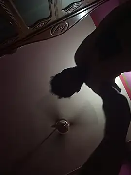 Mastar212 online show from November 2025 08:14:01 AM