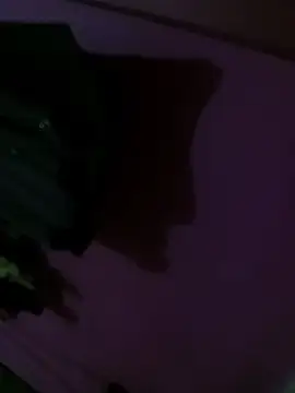 Mastar212 online show from December 2025 08:26:01 PM