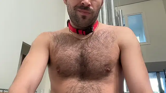 Snapshot of 69woodinson chatting on February 2026 02:20:02 PM 69woodinson online show from February 2026 02:20:02 PM