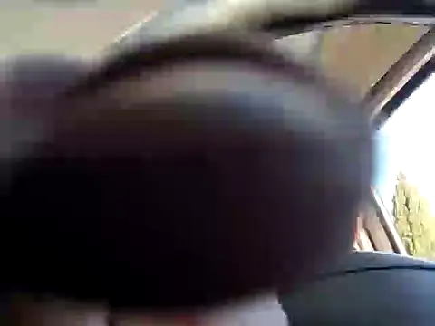 salvat22 online show from March 2025 02:59:02 PM