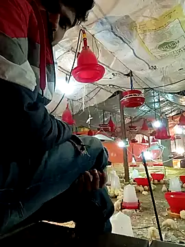 Roni1028 online show from December 2024 05:11:02 AM