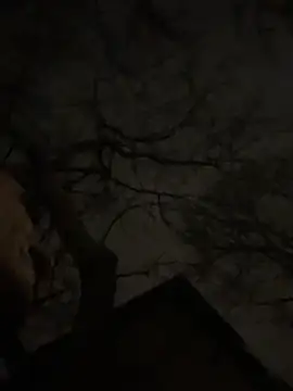 Snapshot of -yakimov- chatting on January 2026 07:34:01 PM -yakimov- online show from January 2026 07:34:01 PM