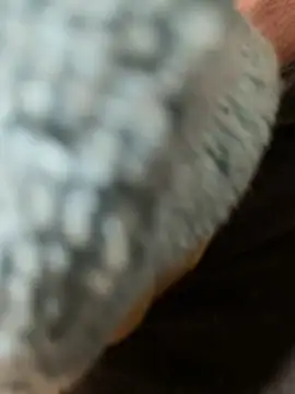 edgher646 online show from February 2026 11:21:01 AM