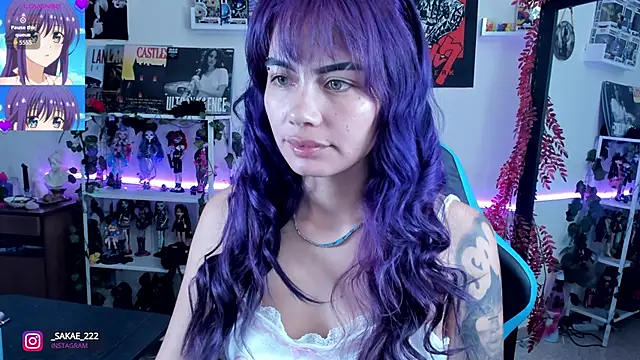 Snapshot of _sakae_ chatting on October 2025 07:47:02 AM  sakae  online show from October 2025 07:47:02 AM