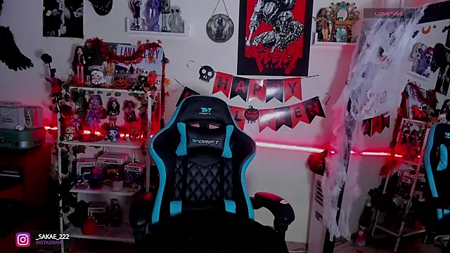 Snapshot of _sakae_ chatting on October 2025 02:10:01 PM  sakae  online show from October 2025 02:10:01 PM