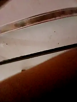 Snapshot of frotasso chatting on October 2025 11:14:01 PM frotasso online show from October 2025 11:14:01 PM