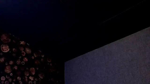 ArtemisaBlake online show from March 2025 08:04:01 PM