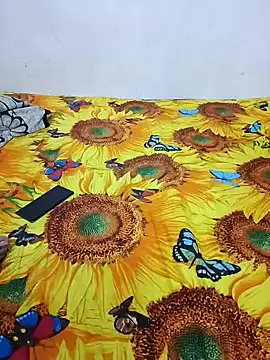 bhavanitelu online show from December 2024 11:30:02 AM