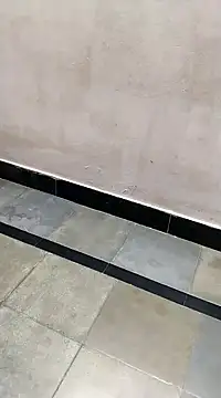 bhavanitelu online show from March 2025 12:09:02 PM