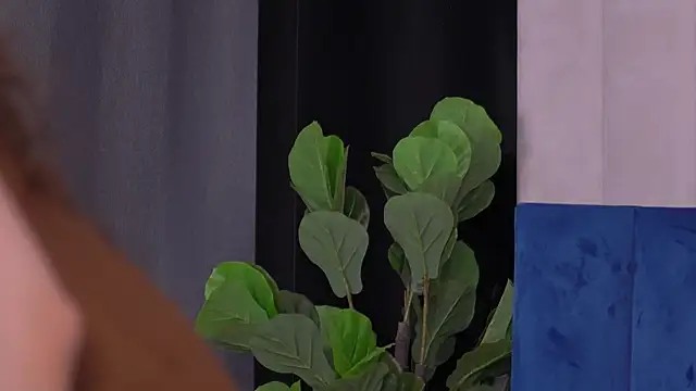 Jenna Day online show from July 2026 08:18:02 AM