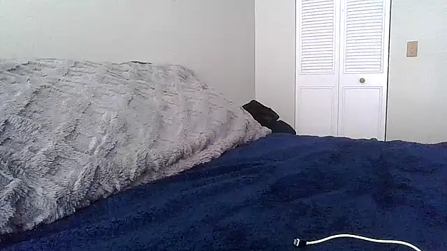 tendertormentt online show from February 2026 05:00:02 PM