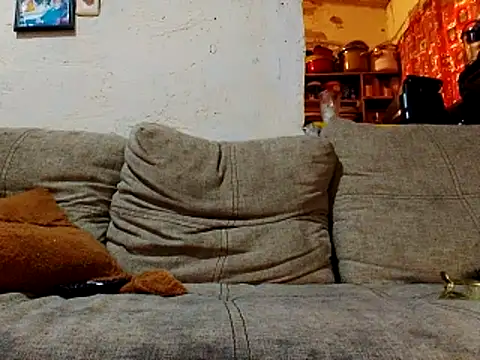 NewBe9D9 online show from November 2025 09:42:01 AM