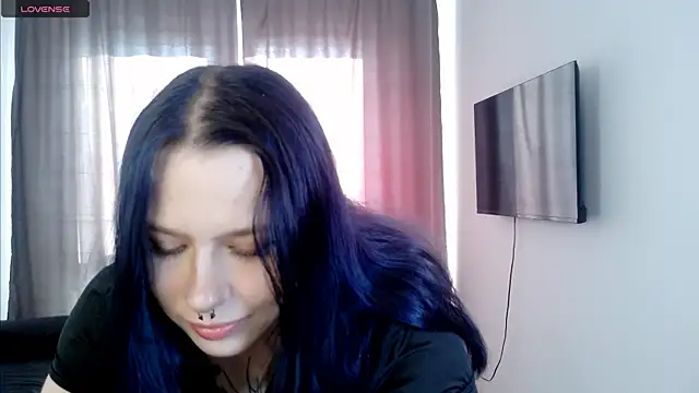 tender kiitty online show from July 2026 03:09:01 PM
