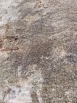 Eleni Pappa online show from April 2026 09:10:01 AM