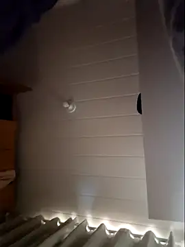 Leinad27 online show from November 2025 03:45:02 PM