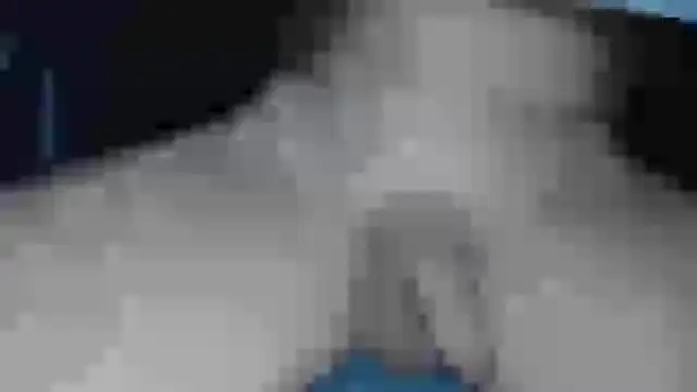 cs1512 online show from February 2025 06:38:01 PM