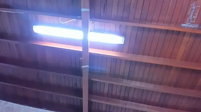 jeicob gagnon online show from March 2025 06:34:01 PM