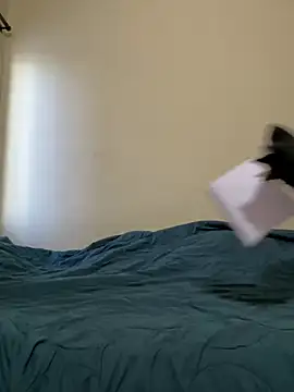 Snapshot of priyadevi17 chatting on January 2025 02:44:02 AM priyadevi17 online show from January 2025 02:44:02 AM