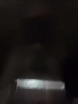 codysmith online show from October 2025 03:02:02 PM