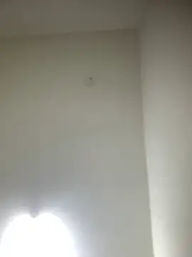 Snapshot of bidex002 chatting on May 2026 11:01:04 PM bidex002 online show from May 2026 11:01:04 PM