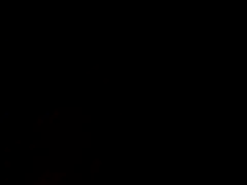 zaneporter46 online show from September 2025 09:20:01 PM