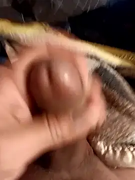 zeus2630 online show from April 2026 01:38:01 AM