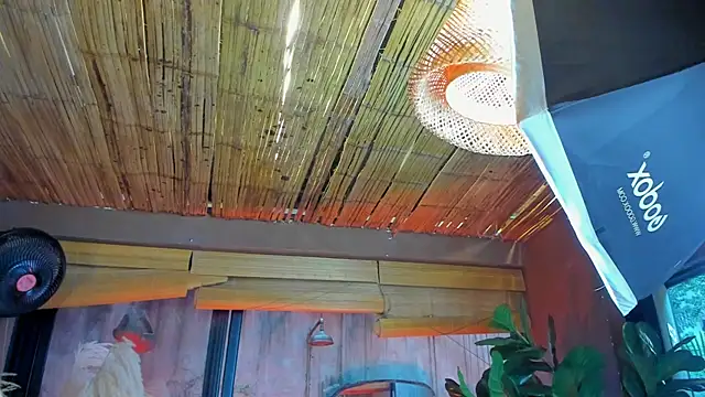 MarcoVitto online show from November 2025 07:29:02 PM