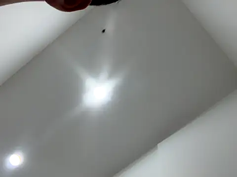 Sexocokin online show from December 2025 01:16:02 PM