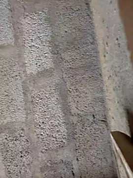 Snapshot of ruthaa chatting on February 2026 08:15:02 AM ruthaa online show from February 2026 08:15:02 AM