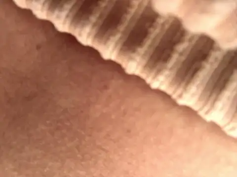 BELLA--26 online show from September 2025 01:46:01 PM