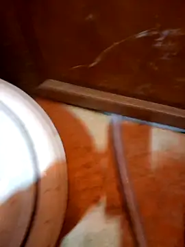 Snapshot of javierpasteur69 chatting on October 2025 05:31:01 AM javierpasteur69 online show from October 2025 05:31:01 AM