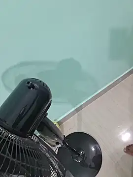 Snapshot of Desi_Heat chatting on March 2026 03:05:04 PM Desi Heat online show from March 2026 03:05:04 PM