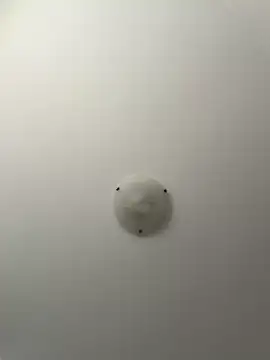 NNNoire online show from March 2026 10:33:01 AM